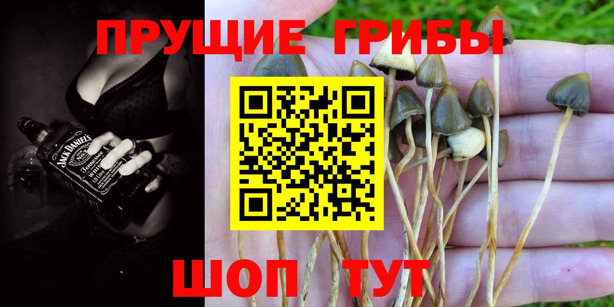 Новочеркасск  Галлюциногенные грибы Psilocybe  Псилоцибиновые грибы MAGIC MUSHROOMS  Вход с VPN 